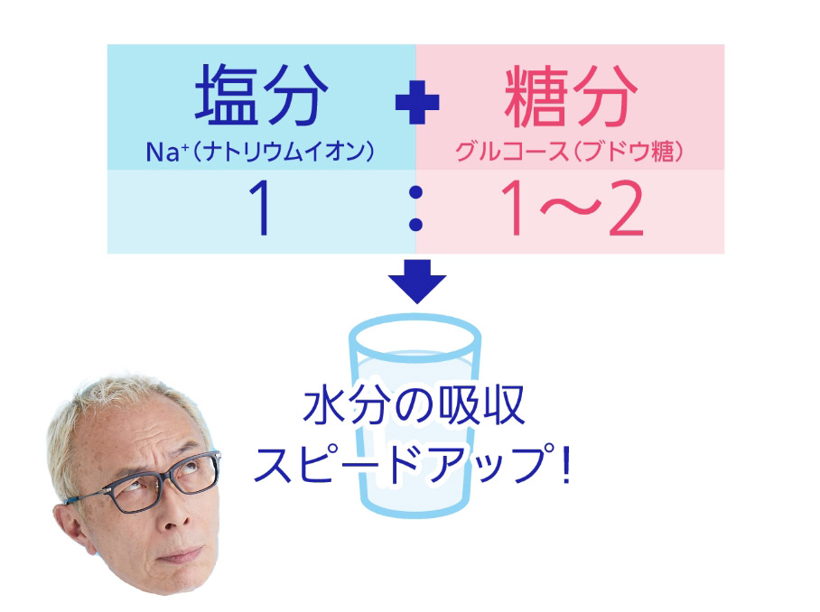 塩分 Na+（ナトリウムイオン） + 糖分 グルコース（ブドウ糖）、1：1～2 → 水分の吸収スピードアップ！