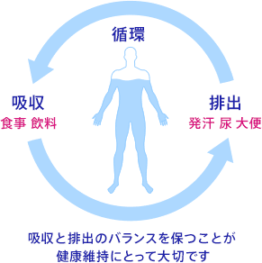 循環：排出　発汗　尿　大便→吸収　食事　飲料　→／吸収と排出のバランスを保つことが健康維持にとって大切です