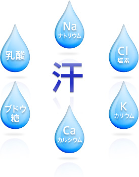 汗：Na ナトリウム／Cl 塩素／K カリウム／Ca カルシウム／ブドウ糖／乳酸
