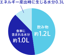 エネルギー産出時に生じる水分0.3L／食事に含まれる水分　約1.0L／飲み物　約1.2L