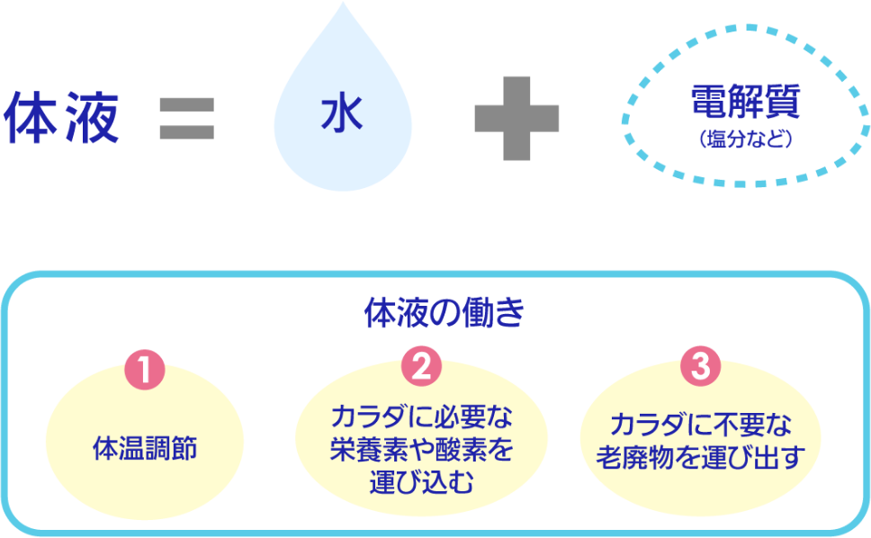 体液＝水＋電解質（塩分など）　体液の働き ①体温調節 ②カラダに必要な栄養素や酸素を運び込む ③カラダに不要な老廃物を運び出す