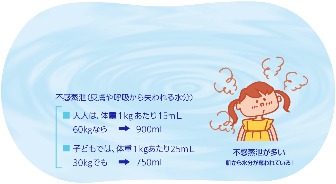 不感蒸泄（皮膚や呼吸から失われる水分） ■大人は、体重1kgあたり15mL 60kgなら→900mL ■子どもでは、体重1kgあたり25mL 30kgでも→750mL 不感蒸泄が多い 肌から水分が奪われている！