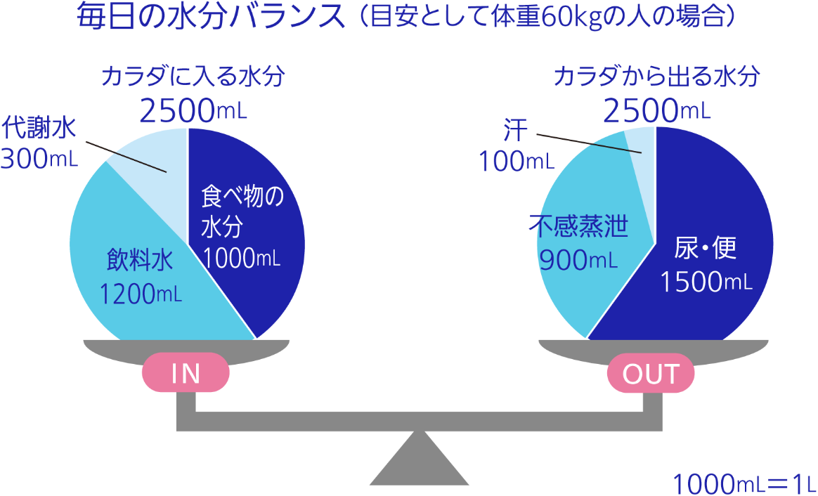 毎日の水分バランス（目安として体重60kgの人の場合） IN：カラダに入る水分 2500mL（食べ物の水分 1000mL、飲料水 1200mL、代謝水 300mL ） OUT：カラダから出る水分 2500mL（尿・便 1500mL、不感蒸泄 900mL、汗 100mL） 1000mL＝1L