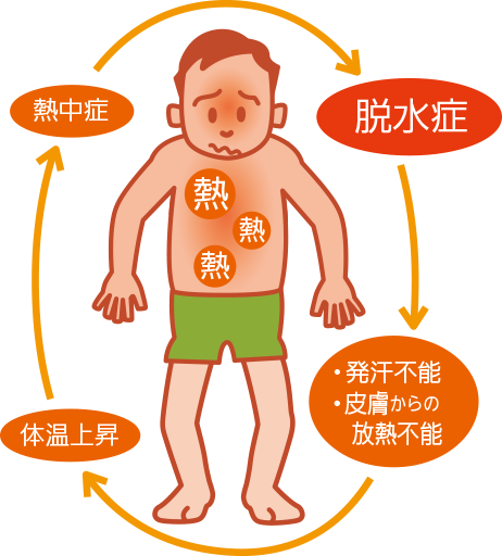 脱水症→・発汗不能・皮膚からの放熱不能→体温上昇→熱中症→脱水症