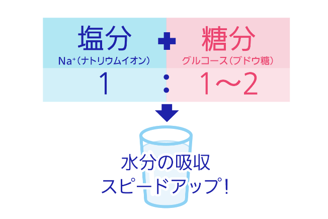 塩分 Na+（ナトリウムイオン） + 糖分 グルコース（ブドウ糖）、1：1～2 → 水分の吸収スピードアップ！